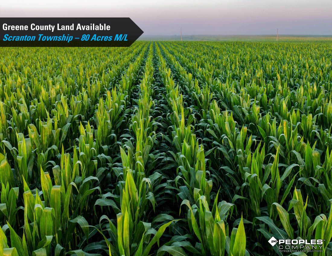 Listing Photo: Greene-County-Land-Available-Scranton-Iowa-80-Acres-19663 (6)